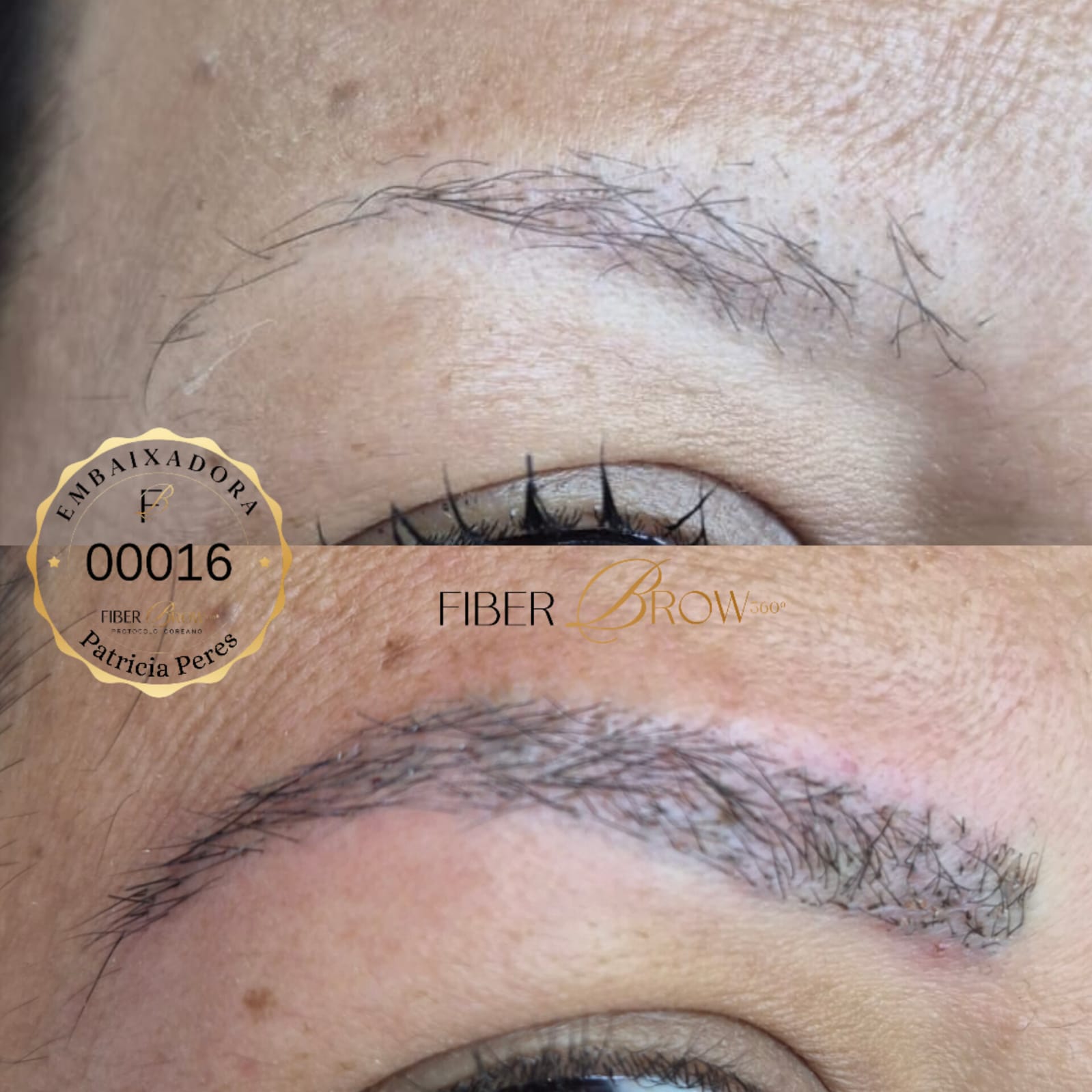Antes e depois Fiber Brow, selo Embaixadora Patrícia Peres